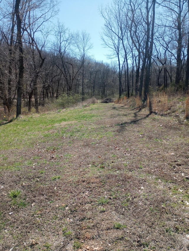 11854 Vixen Rd, Stark City, MO 64866 - photo 6