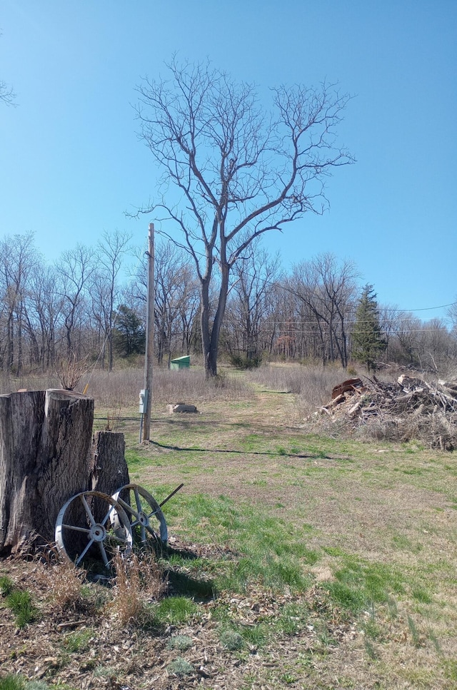11854 Vixen Rd, Stark City, MO 64866 - photo 4