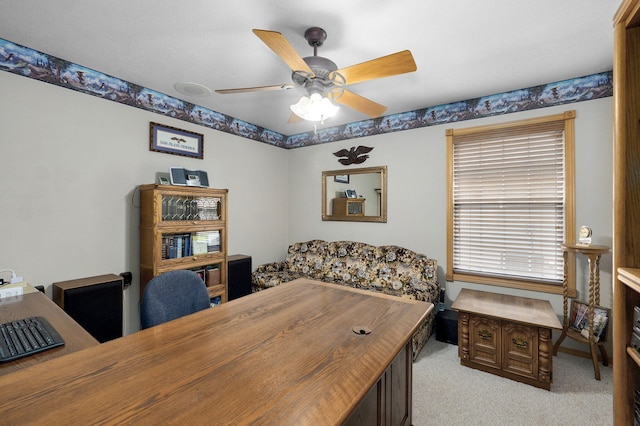3933 W Greenwood St, Springfield, MO 65807 - photo 25