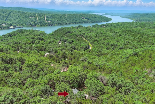 123 Half Cir, Galena, MO 65656 - photo 58