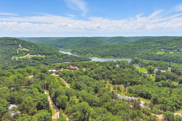 123 Half Cir, Galena, MO 65656 - photo 59