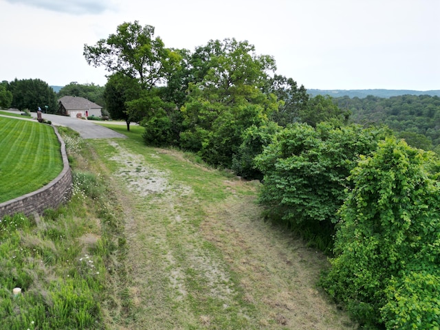 259 Jacks Hollow Rd, Walnut Shade, MO 65771