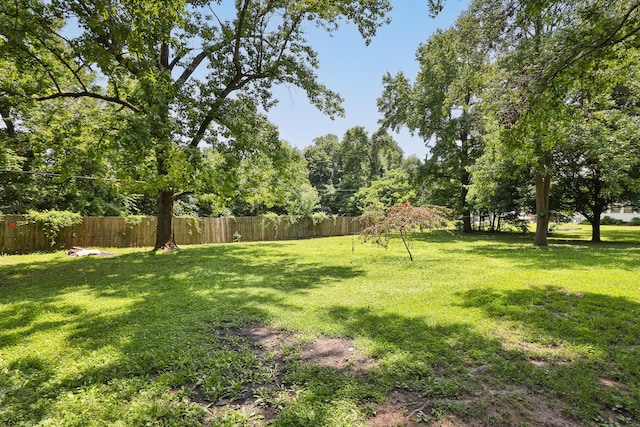 424 W Olive St, Bolivar, MO 65613 - view of yard