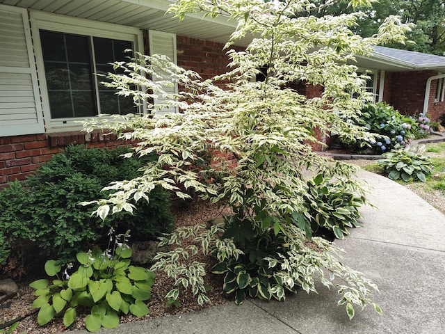 424 W Olive St, Bolivar, MO 65613 - view of side of home with brick siding