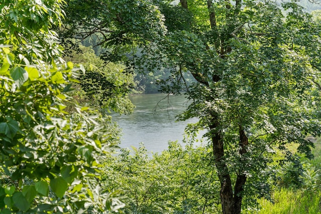 200 Eagle Pointe Dr, Branson, MO 65616 - water view featuring a forest