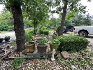 3200 Driftwood Rd, Merriam Woods, MO 65740 - view of yard
