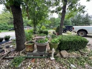 3200 Driftwood Rd, Merriam Woods, MO 65740 - view of yard