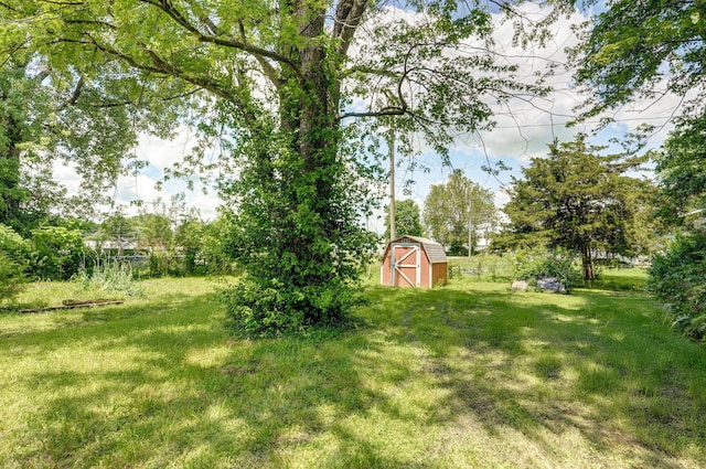 119 E Mill St, Republic, MO 65738 - view of green lawn with a storage unit