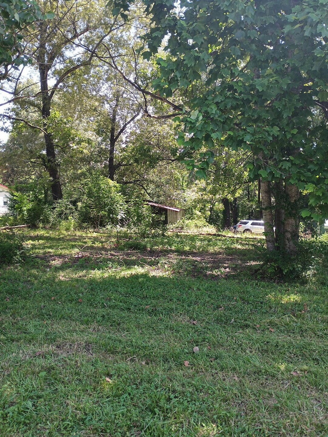 214 Sherman St, Thayer, MO 65791 - photo 4
