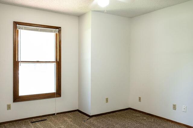 2812 W Maplewood St, Springfield, MO 65807 - carpeted spare room with plenty of natural light, ceiling fan, and a textured ceiling