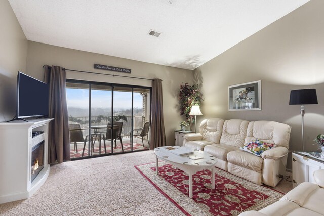 350 S Wildwood Dr Unit 20, Branson, MO 65616 - photo 14