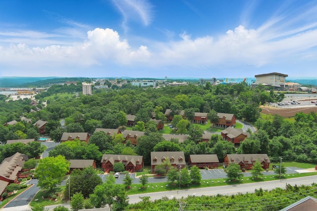 109 Grand Mountain Ave Unit 39-1, Branson, MO 65616 - aerial view