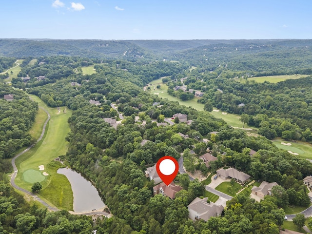 1007 Silvercrest Pl, Reeds Spring, MO 65737 - aerial view of property's location featuring a golf course and a large body of water