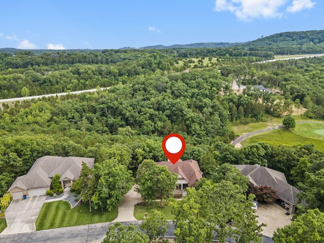 1007 Silvercrest Pl, Reeds Spring, MO 65737 - bird's eye view of a forest