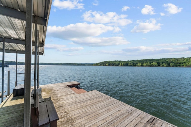 000 Twin Rivers Dr, Shell Knob, MO 65747