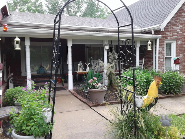 701 Spears Ave, Crane, MO 65633 - entrance to property with brick siding, a shingled roof, and covered porch