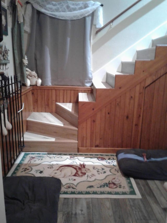 701 Spears Ave, Crane, MO 65633 - staircase featuring wood finished floors