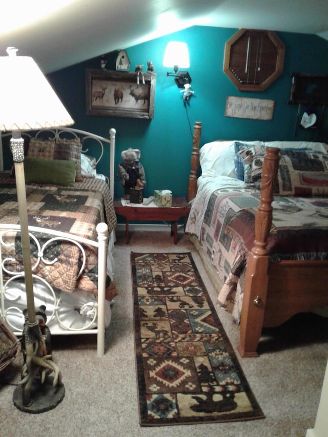 701 Spears Ave, Crane, MO 65633 - bedroom with carpet floors and vaulted ceiling