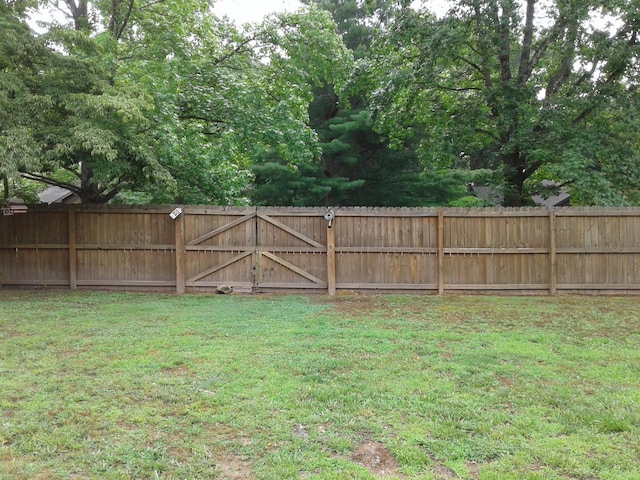 701 Spears Ave, Crane, MO 65633 - view of yard