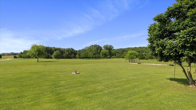 6963/000 County Road 1940, Pomona, MO 65789 - photo 10