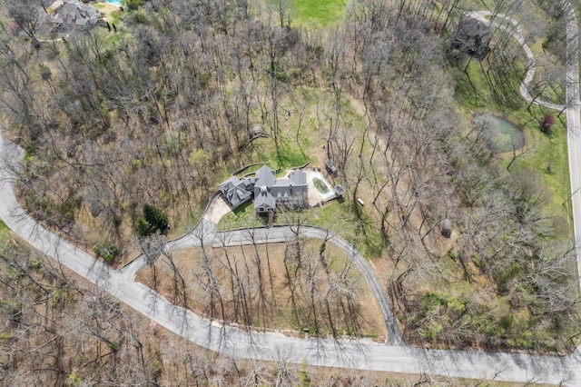 6420 E Turner Springs Rd, Springfield, MO 65809 - aerial view of property and surrounding area