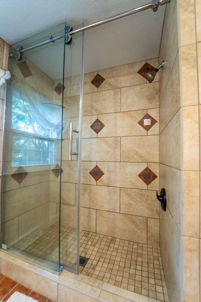 600 E Boone St, Ash Grove, MO 65604 - full bath with a stall shower and a textured ceiling