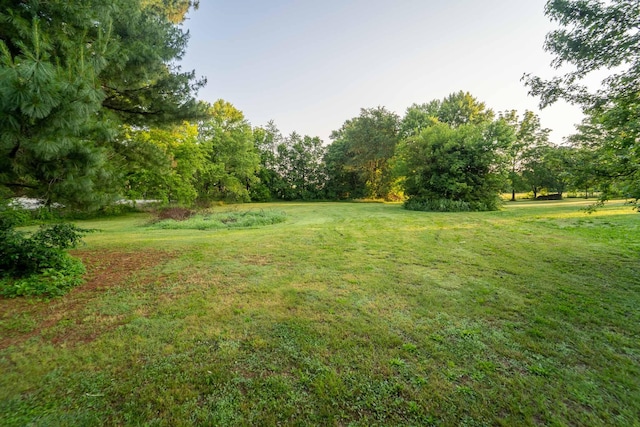 600 E Boone St, Ash Grove, MO 65604 - view of green lawn