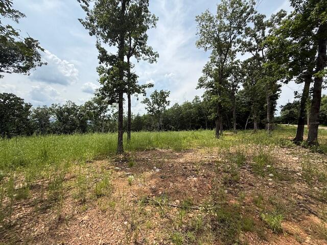 2.7ACRES County Road 245, Pittsburg, MO 65724 - photo 2