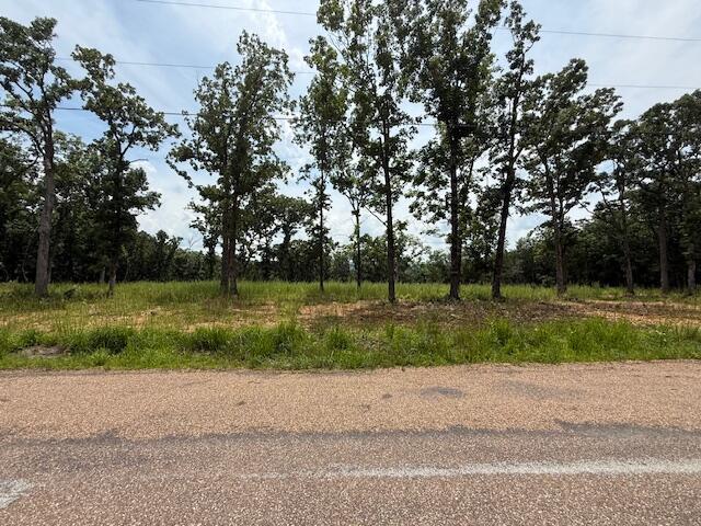 2.7ACRES County Road 245, Pittsburg, MO 65724 - photo 10
