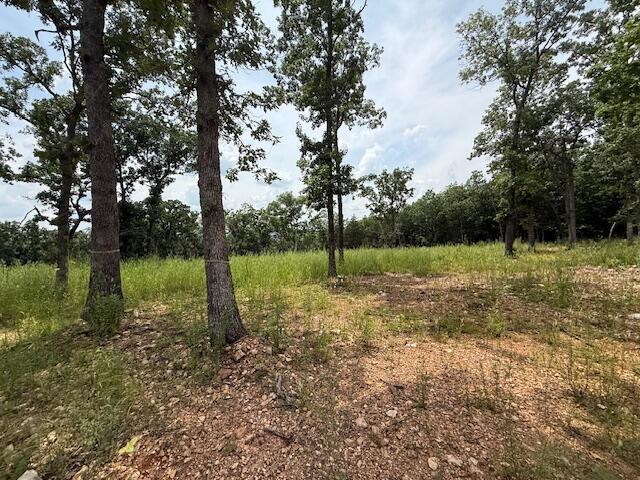 2.7ACRES County Road 245, Pittsburg, MO 65724 - photo 3