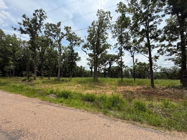 2.7ACRES County Road 245, Pittsburg, MO 65724 - photo 4
