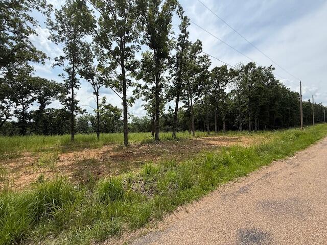 2.7ACRES County Road 245, Pittsburg, MO 65724 - photo 5