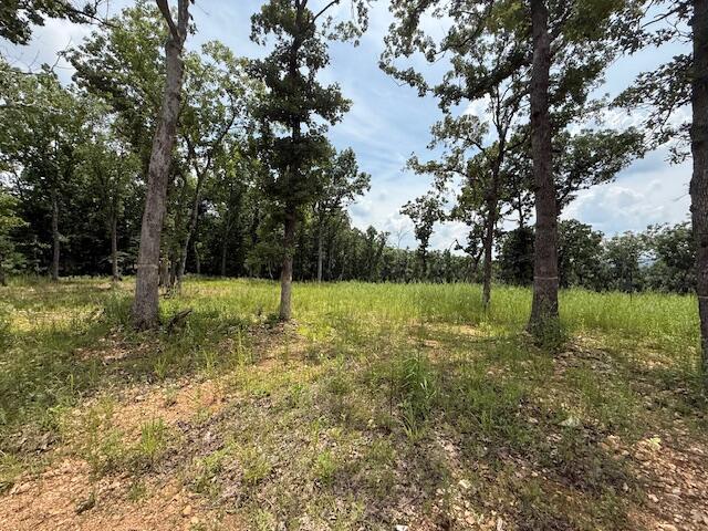 2.7ACRES County Road 245, Pittsburg, MO 65724 - photo 9