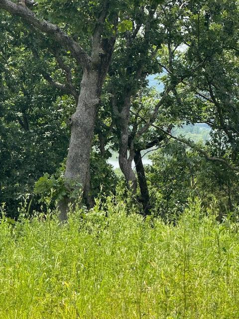 2.7ACRES County Road 245, Pittsburg, MO 65724 - photo 8