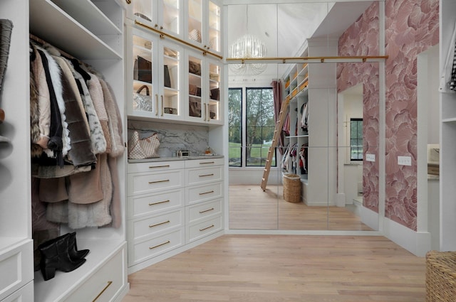 12451 State Highway 174, Billings, MO 65610 - spacious closet with light wood finished floors
