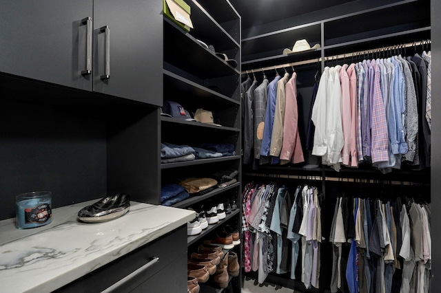 12451 State Highway 174, Billings, MO 65610 - view of walk in closet