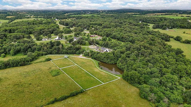 12451 State Highway 174, Billings, MO 65610 - aerial view of property's location
