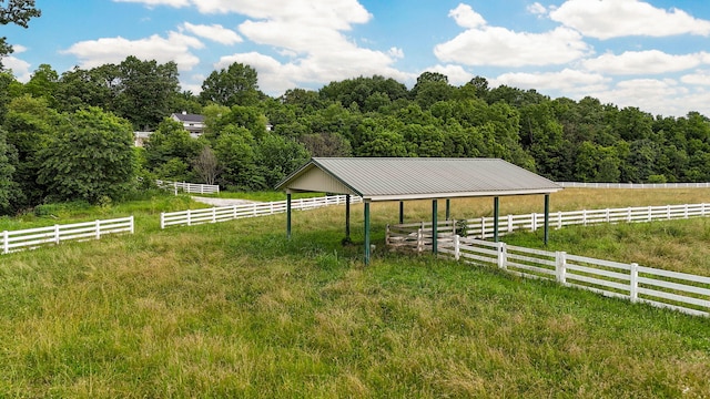 12451 State Highway 174, Billings, MO 65610 - view of yard with a view of trees