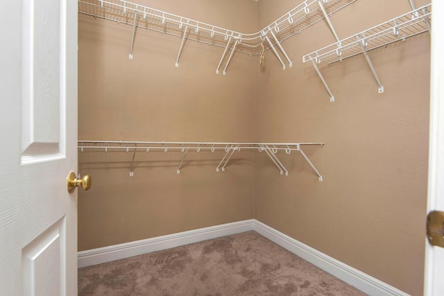 1108 N 18th Ave, Ozark, MO 65721 - spacious closet with carpet