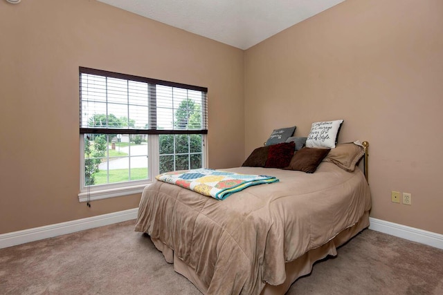 1108 N 18th Ave, Ozark, MO 65721 - bedroom with light colored carpet