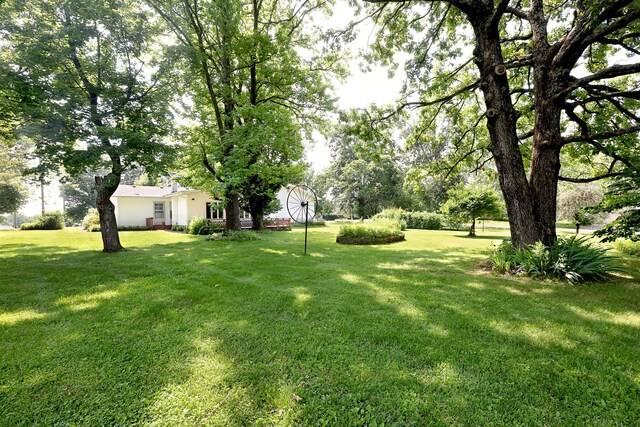 1105 N Pine St, Marshfield, MO 65706 - photo 22