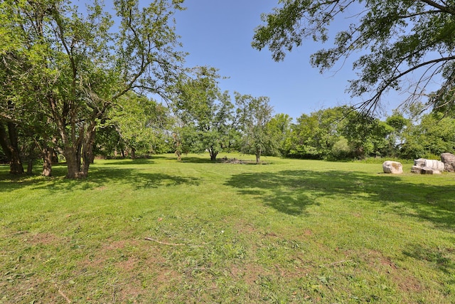 2225 N Plainview Ave, Springfield, MO 65803 - view of green lawn