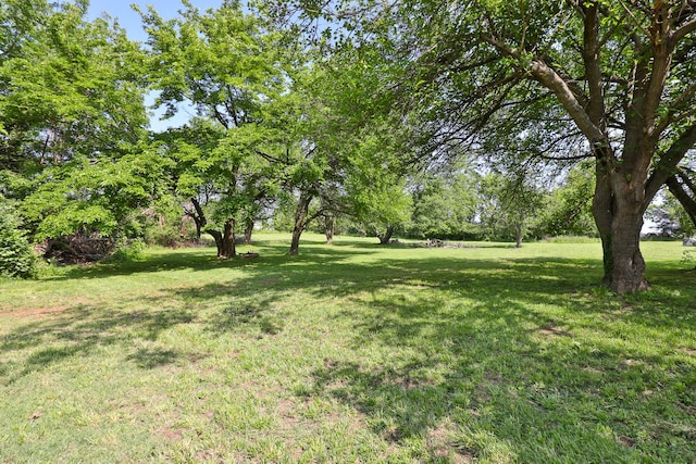 2225 N Plainview Ave, Springfield, MO 65803 - view of grassy yard