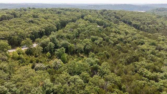 TBD Woodbury Dr, Forsyth, MO 65653