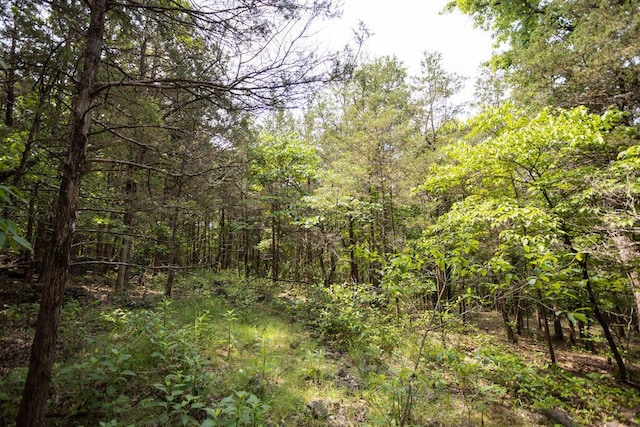 TBD Woodbury Dr, Forsyth, MO 65653