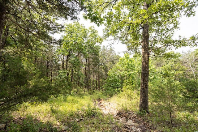 TBD Woodbury Dr, Forsyth, MO 65653