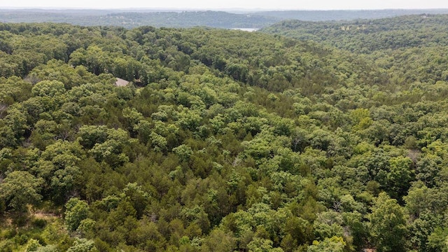 TBD Woodbury Dr, Forsyth, MO 65653
