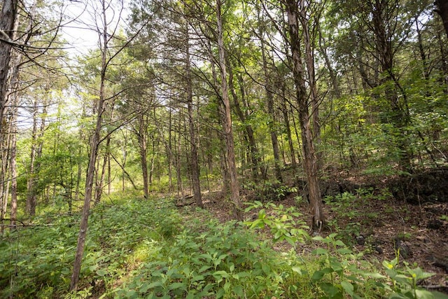 TBD Woodbury Dr, Forsyth, MO 65653