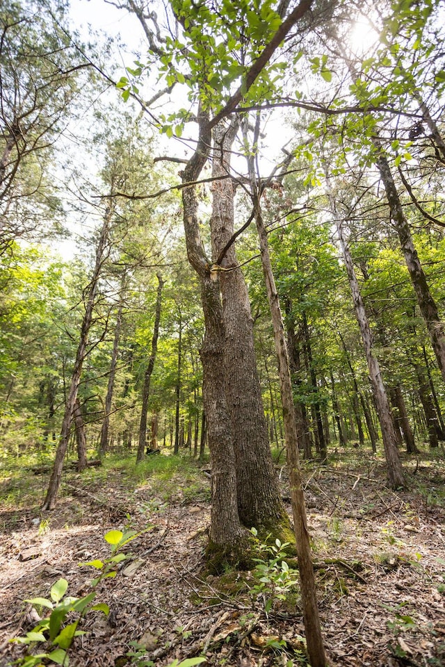 TBD Woodbury Dr, Forsyth, MO 65653