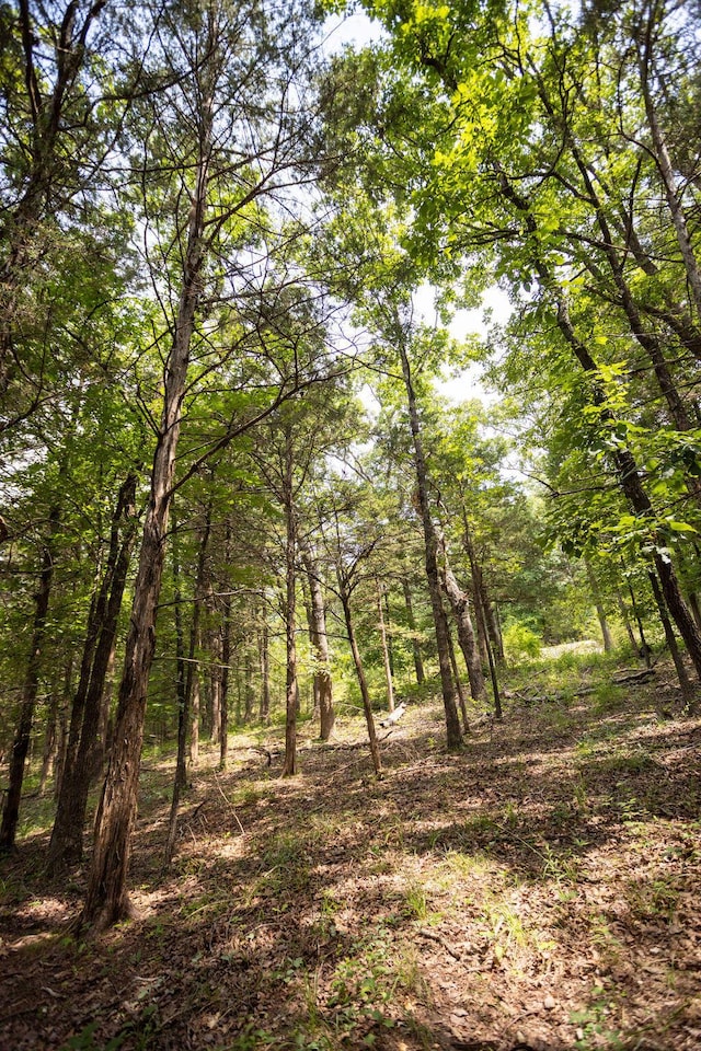 TBD Woodbury Dr, Forsyth, MO 65653